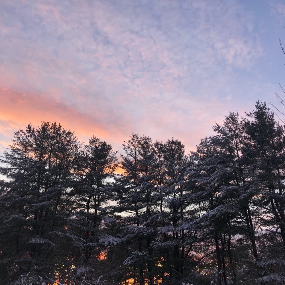 Meet your Posher, Diana